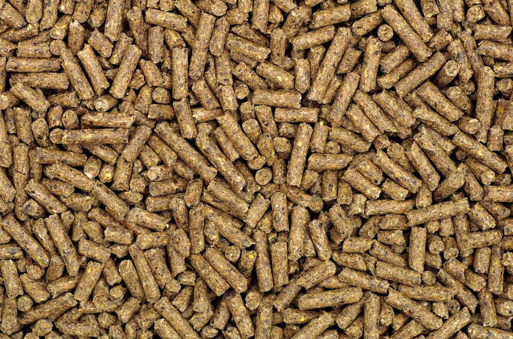 CZ Grain Layer Feed Pellets for Chickens Designed for The Whole Laying Period (2 Pounds