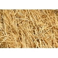thumbnail image 1 of CZ Grain Natural Wheat Straw Fertilizer, 2 lbs, 1 of 3