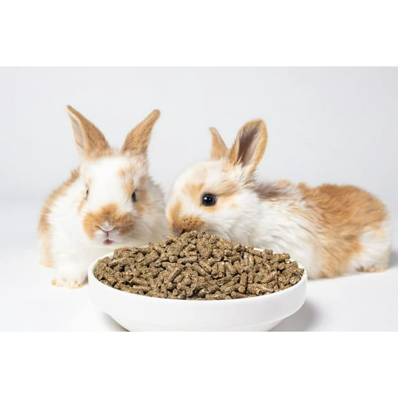 CZ Grain Premium Rabbit Pellets for Feeding - All Natural Adult Rabbit Pellets (12 Ounces)