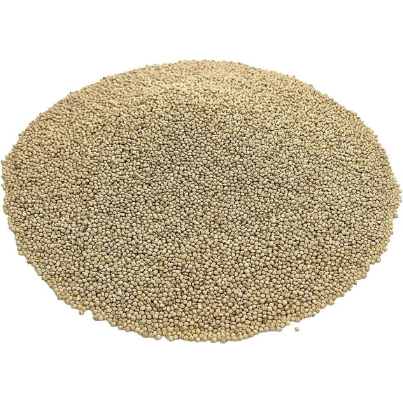 CZ Grain Premium White Millet Proso Seeds - Bulk Seeds, Bird Feed, Wild Bird Food (20 Pounds)