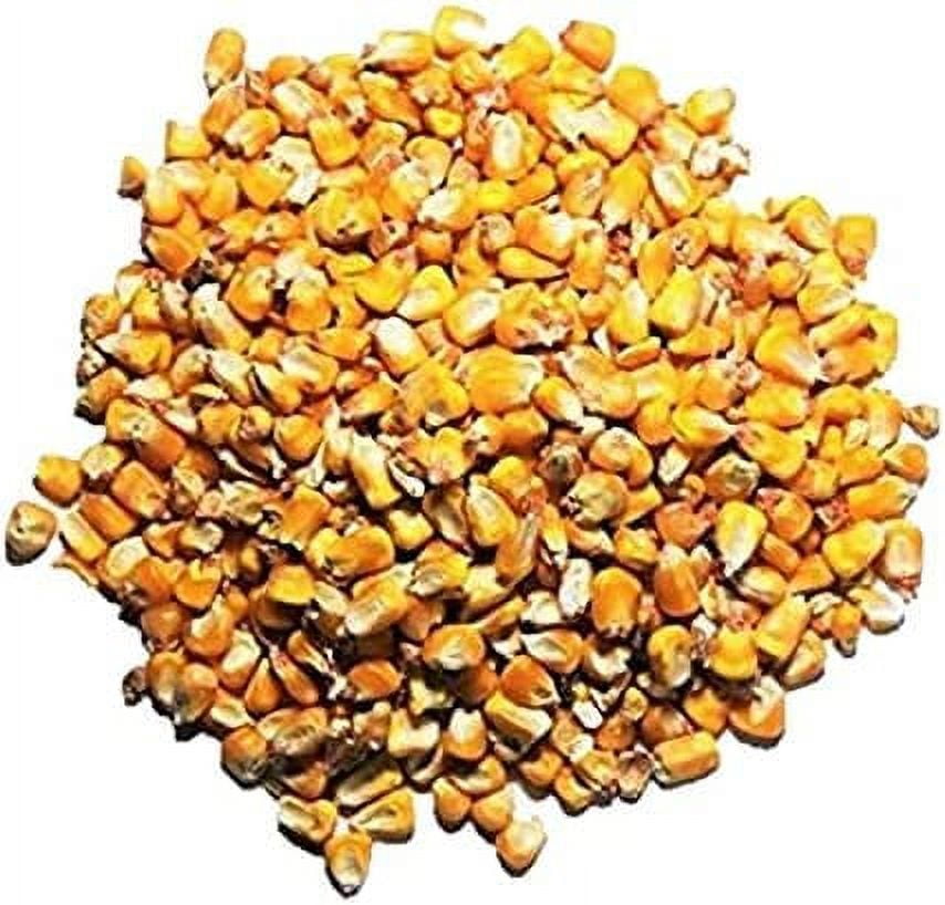 CZ Grain Premium Whole Corn Feed for Deer, Squirrels, Birds, Beef Cattles, Wildlife (22 Pounds)