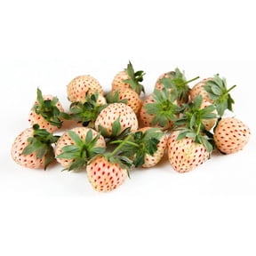 CZ Grain White Strawberries Live Plants (10 pack)
