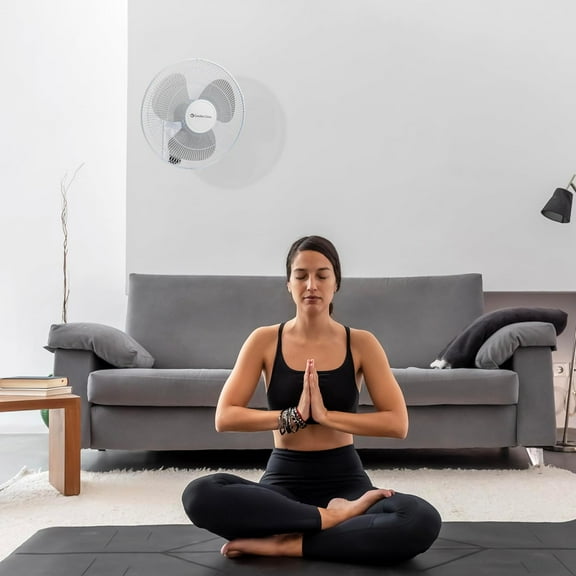 CZ16WR-EC 16-inch Quiet 3-Speed Wall Mount Fan with Remote Control, Timer and Adjustable Tilt, White