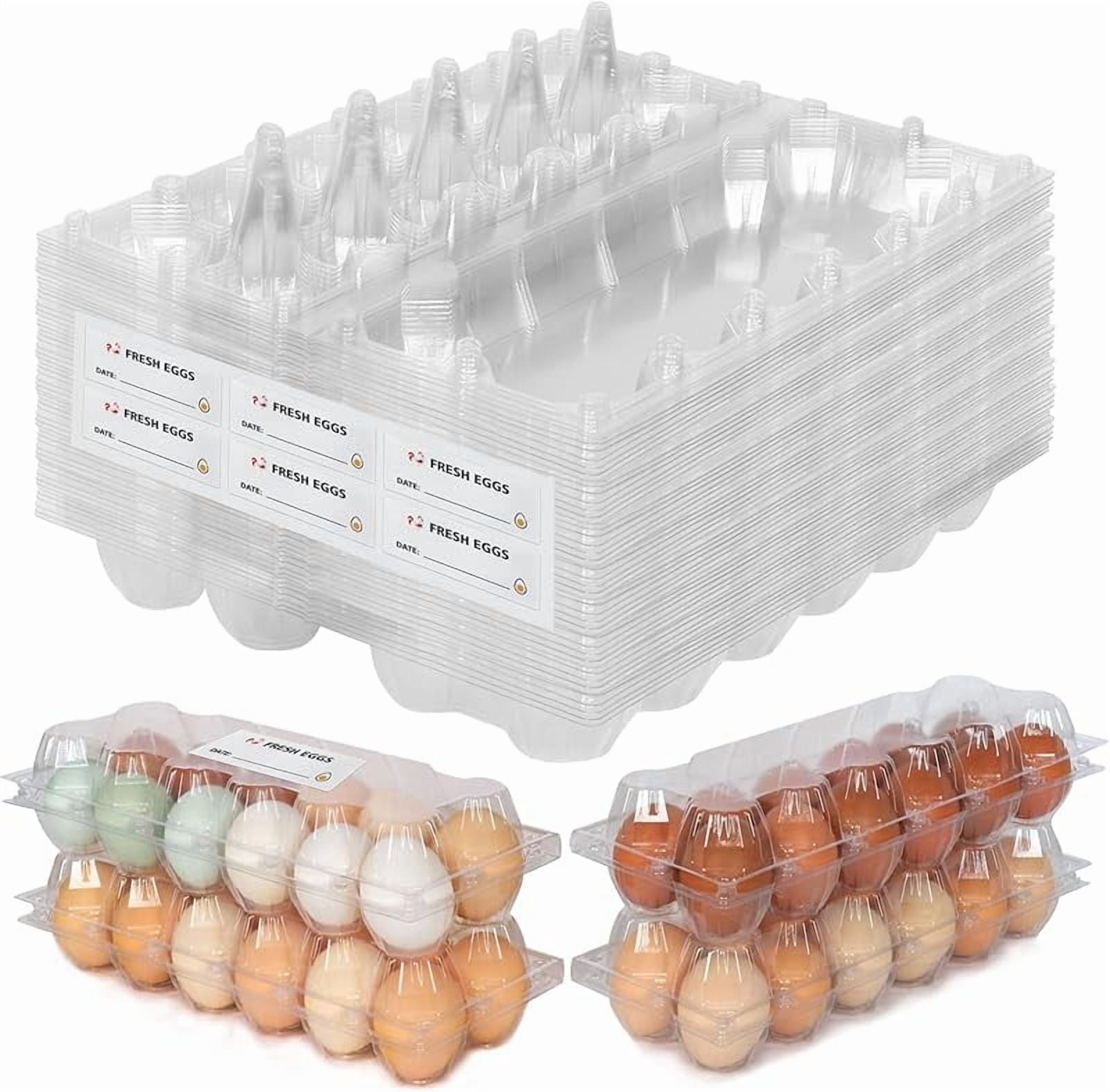 CZQ 60 Packs 12 Count Clear Egg Cartons, 2 * 6 Grids Design, Perfect ...