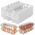 thumbnail image 1 of CZQ 60 Packs 12 Count Clear Egg Cartons, 2 * 6 Grids Design, Perfect for Family, Farm, Markets, Display(Large), 1 of 6