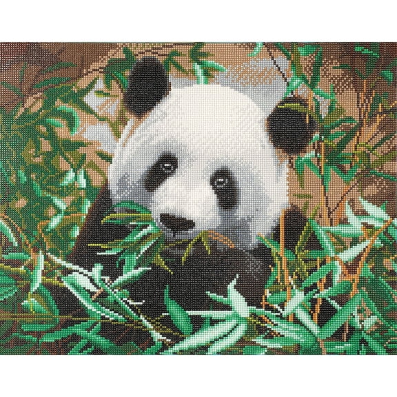 Ca Kit (Large) - Hungry Panda