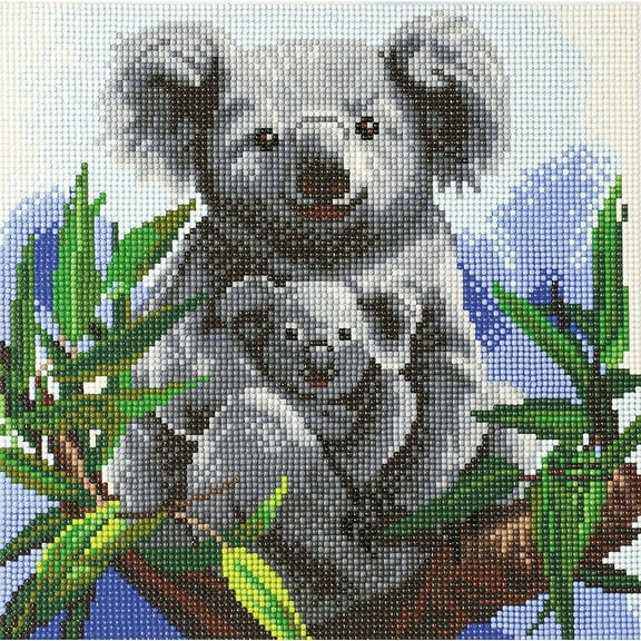 Ca Kit (Medium) - Cuddly Koalas