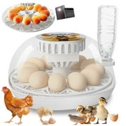 Caannasweis Egg Incubator with Automatic Egg Turning, Temperature and Humidity Control for Reptile and Poultry Hatching