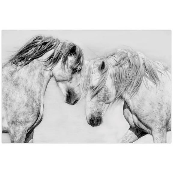 Caballo Blanco Equine Frameless Free Floating Tempered Glass Panel Graphic Wall Art , 32" x 48"