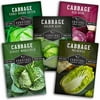 Survival Garden Seeds - 5 Cabbage Seed Collection