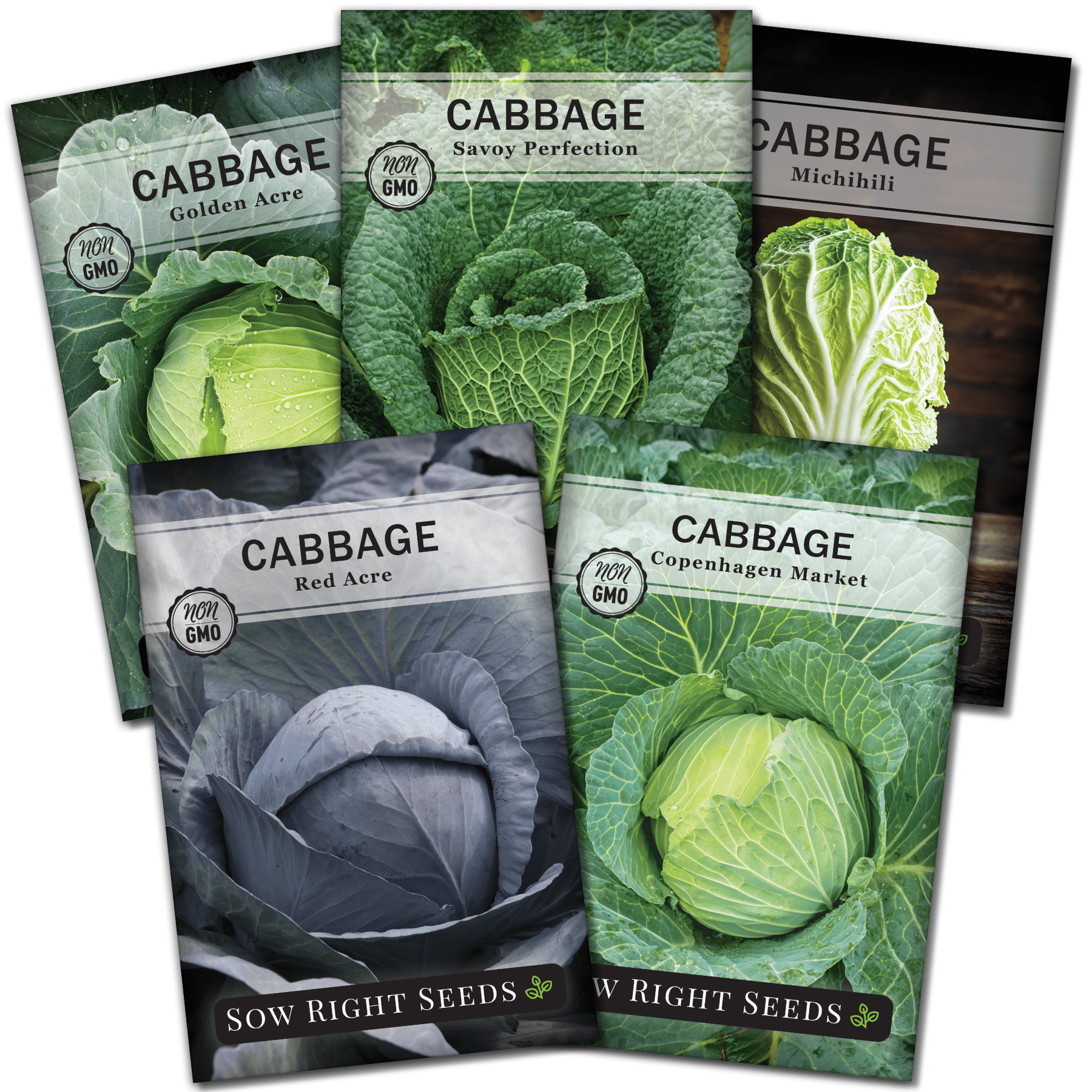 Cabbage Garden Seed Collection NonGMO Varieties 6 Count