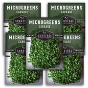 Cabbage Microgreens Sprouting Seeds - Partial Sun Annual Vegetable - 5 Packs