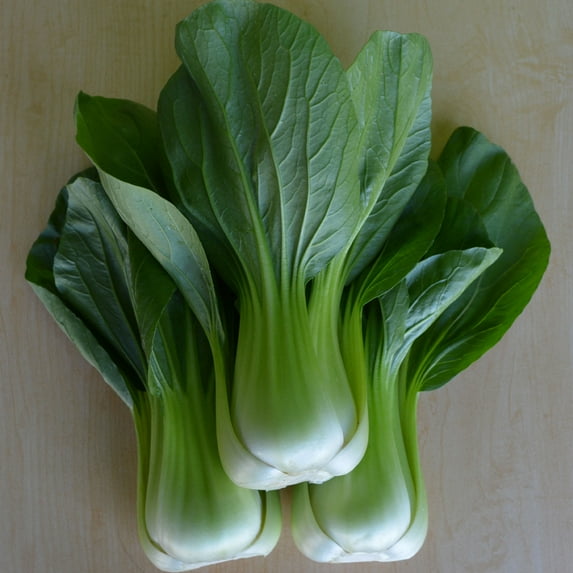 Cabbage Seeds - Pak Choi - Chun Mei - Hybrid - 1 Lb ~156000 Seeds - Non-GMO, F1 Hybrid - Asian Garden Vegetable