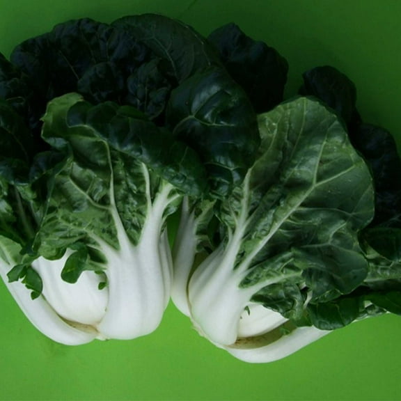 Cabbage Seeds - Pak Choi - Nabi Queen - Dwarf Hybrid - 2 g Packet ~324 Seeds - Non-GMO, F1 Hybrid - Asian Garden Vegetable
