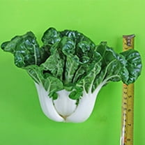 Cabbage Seeds - Pak Choi - New Nabai - Hybrid - 2 g Packet ~360 Seeds - Non-GMO, F1 Hybrid - Asian Garden Vegetable