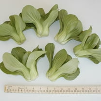 Cabbage Seeds - Pak Choi - Petite Star - Hybrid - 2 g Packet ~738 Seeds - Non-GMO, F1 Hybrid - Asian Garden Vegetable