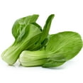 thumbnail image 1 of Cabbage Seeds - Pak Choi - San Fan - Hybrid - 1 Oz ~10000 Seeds - Non-GMO, F1 Hybrid - Asian Garden Vegetable, 1 of 7