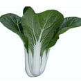 thumbnail image 1 of Cabbage Seeds - Pak Choi - Tall White Stem - Hybrid - 5 Lb Bulk ~4500000 Seeds - Non-GMO, F1 Hybrid - Asian Garden Vegetable, 1 of 1