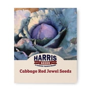 Harris Seeds Red Jewel F1 Red Cabbage, Deep Purple-Red Hybrid, Early Maturing, Treated, 50 Count