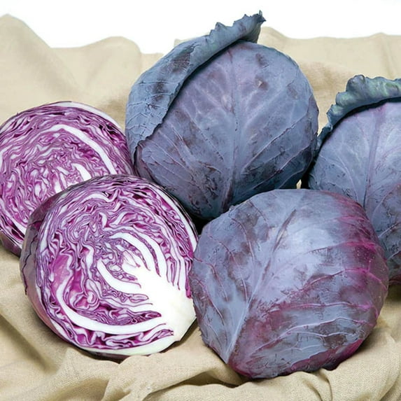 Cabbage Seeds - Ruby Ball Improved Unt Non-GMO Variety Cabbage Seeds - Non-GMO - 50 Seeds