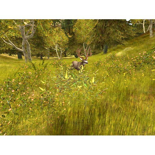 PreOwned Cabela's Deer Hunt 2004 Season