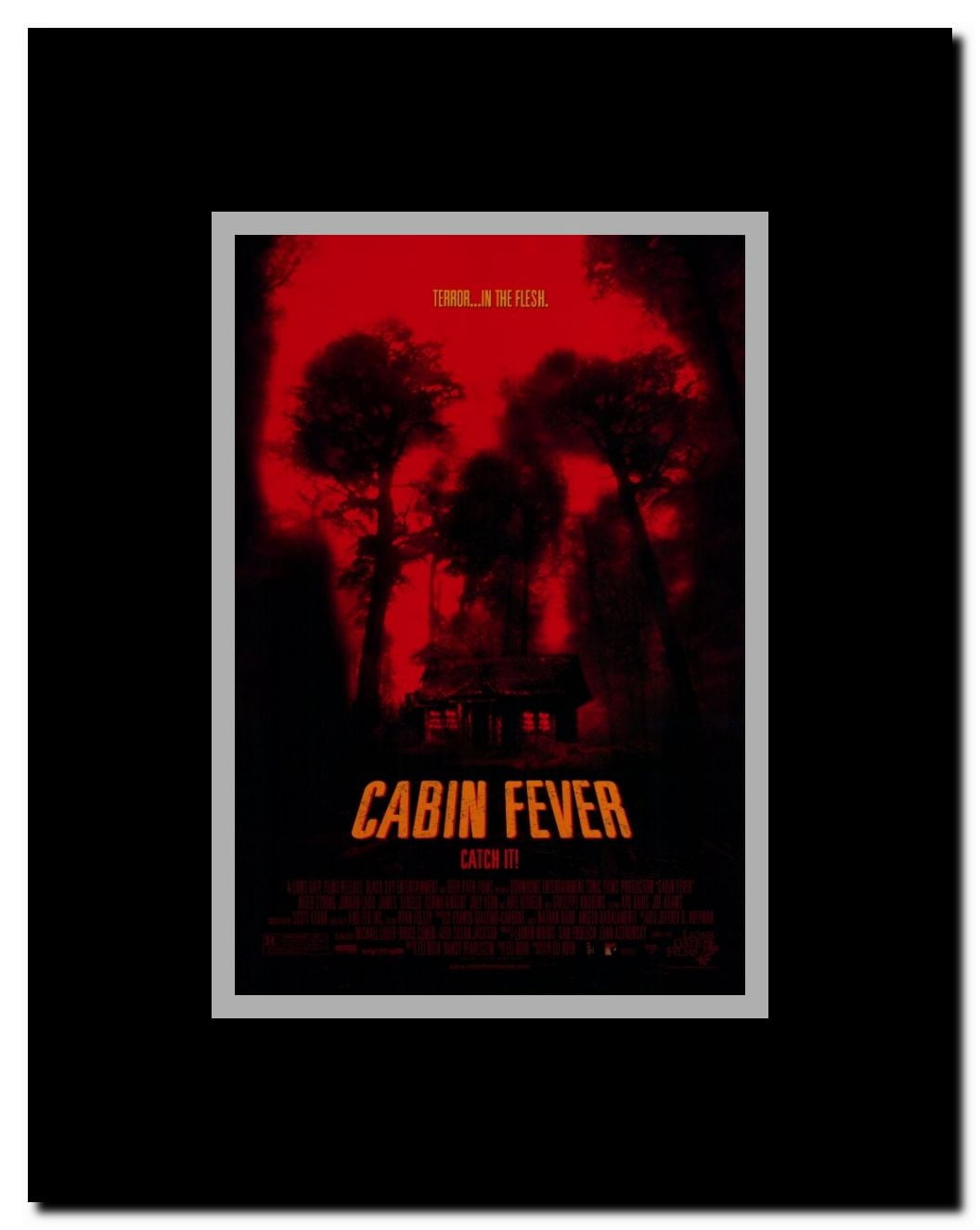 Cabin Fever Framed Movie Poster