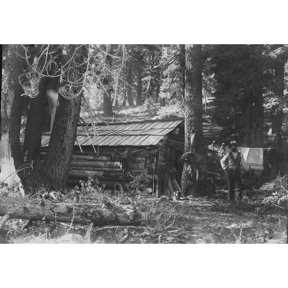 Cabin Fever Poster Print