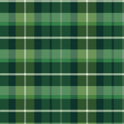 Cabin Plaid on Green Wide Quilting Cotton Fabric - Fat Quarter