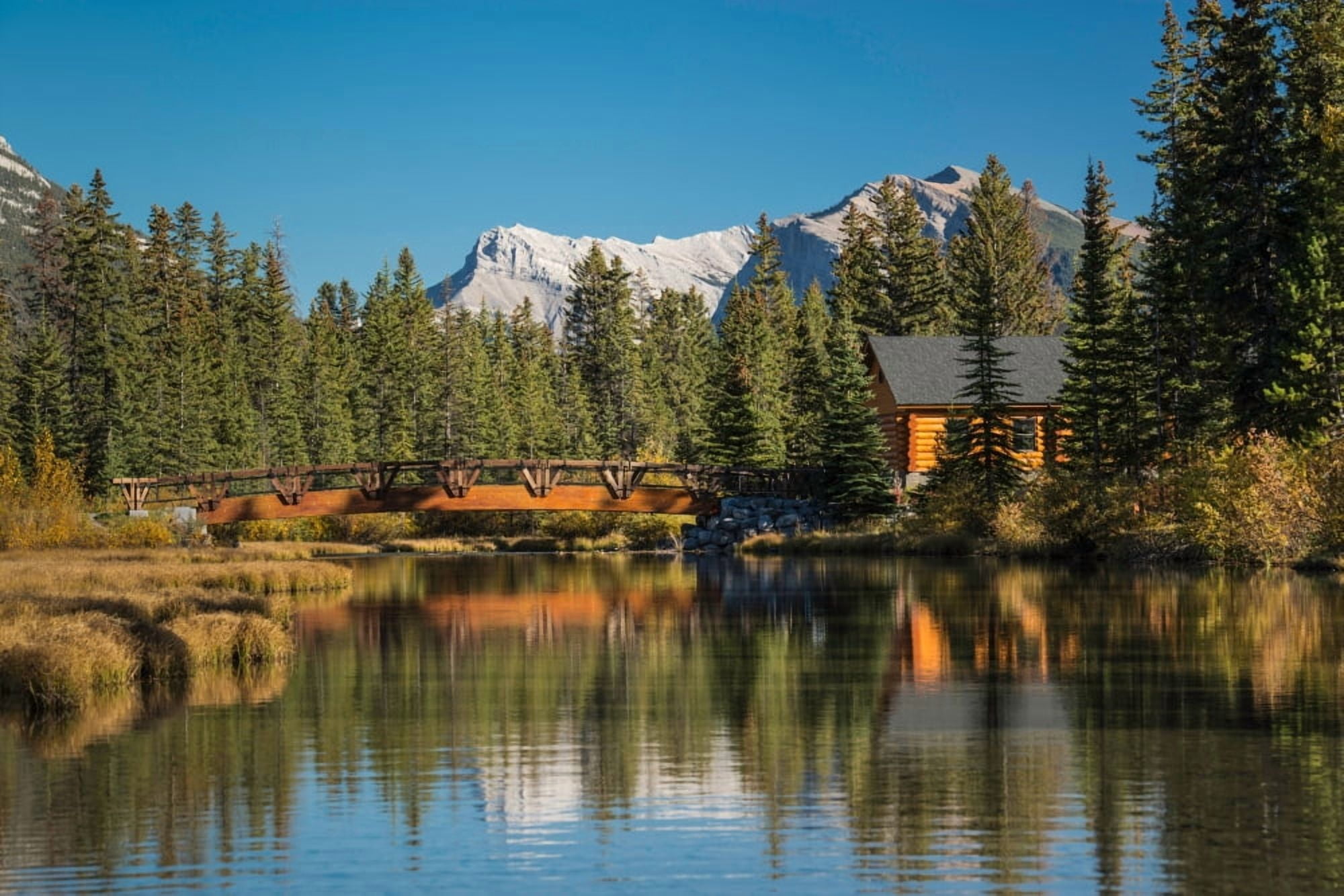 Cabin and bridge on Policemans Creek Pigeon Mountain Mt McGillivray Canmore Alberta Canada Canvas Art - Panoramic Images (18 x 24)