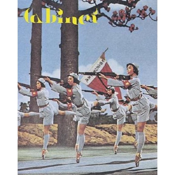 Cabinet 12: The Enemy, (Paperback)