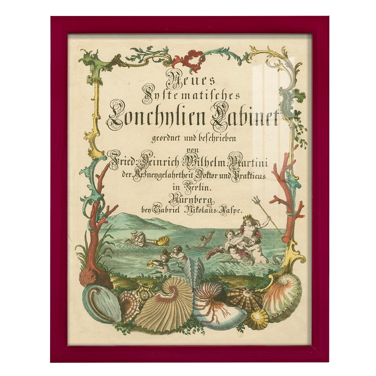 Cabinet of Conchology -Framed Print w/glass-Cherry Red