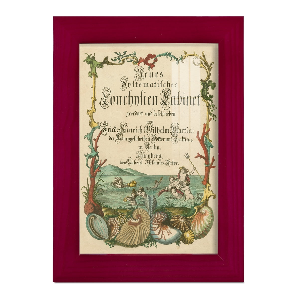 Cabinet of Conchology -Framed Print w/glass-Cherry Red