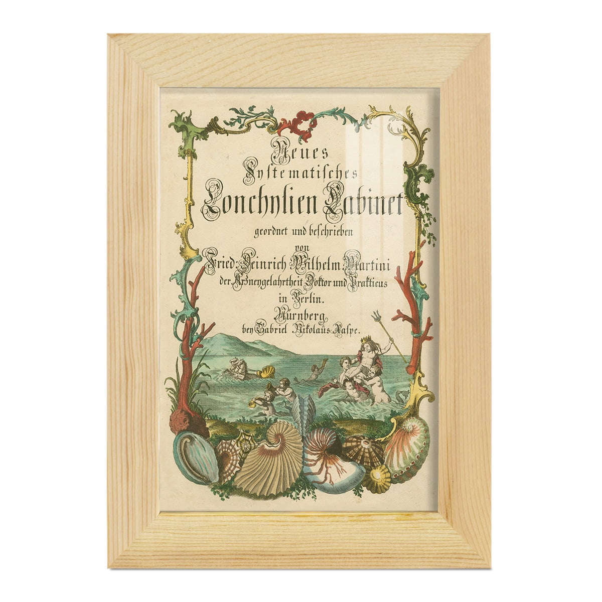 Cabinet of Conchology -Framed Print w/glass-Natural Wood