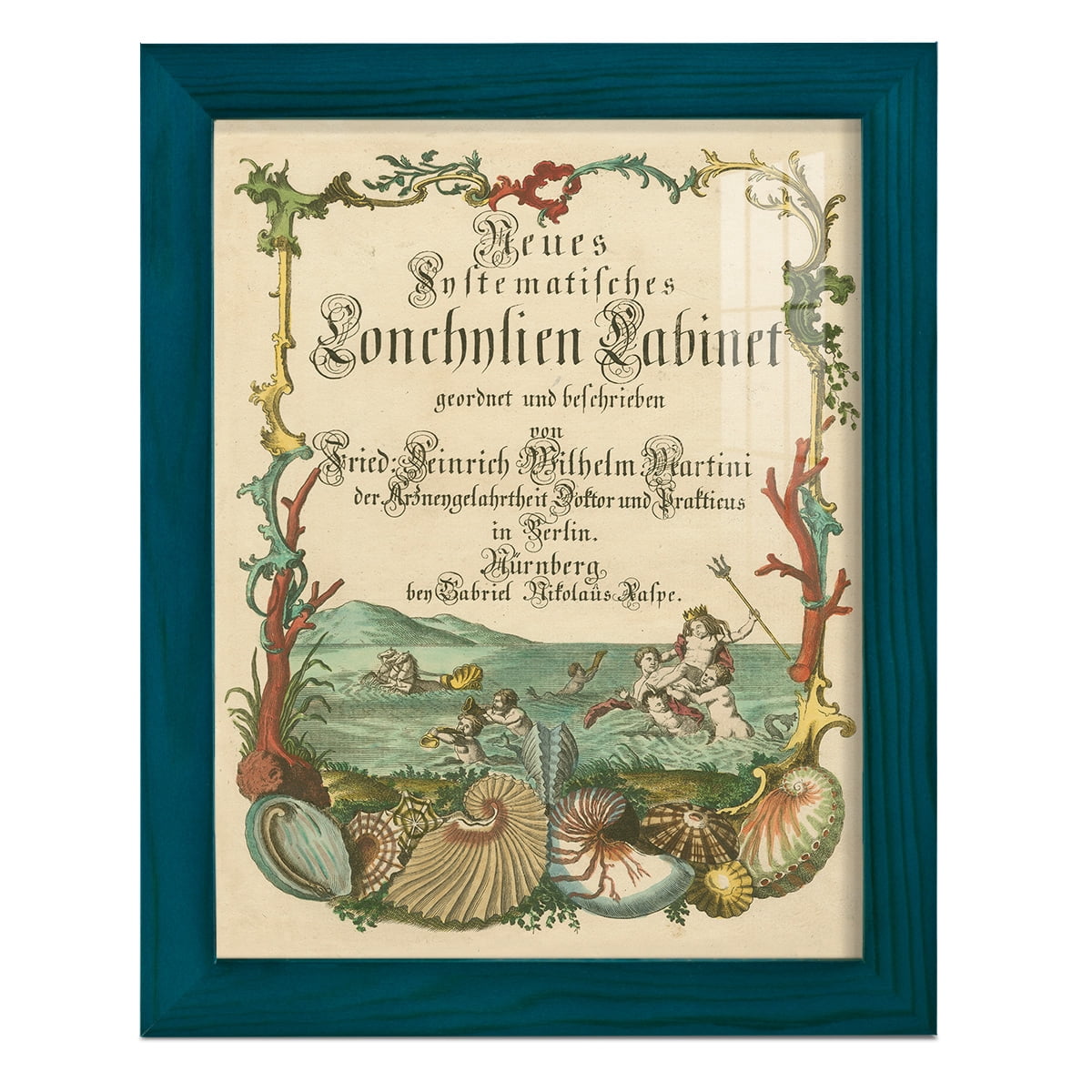 Cabinet of Conchology -Framed Print w/glass-Ocean Blue