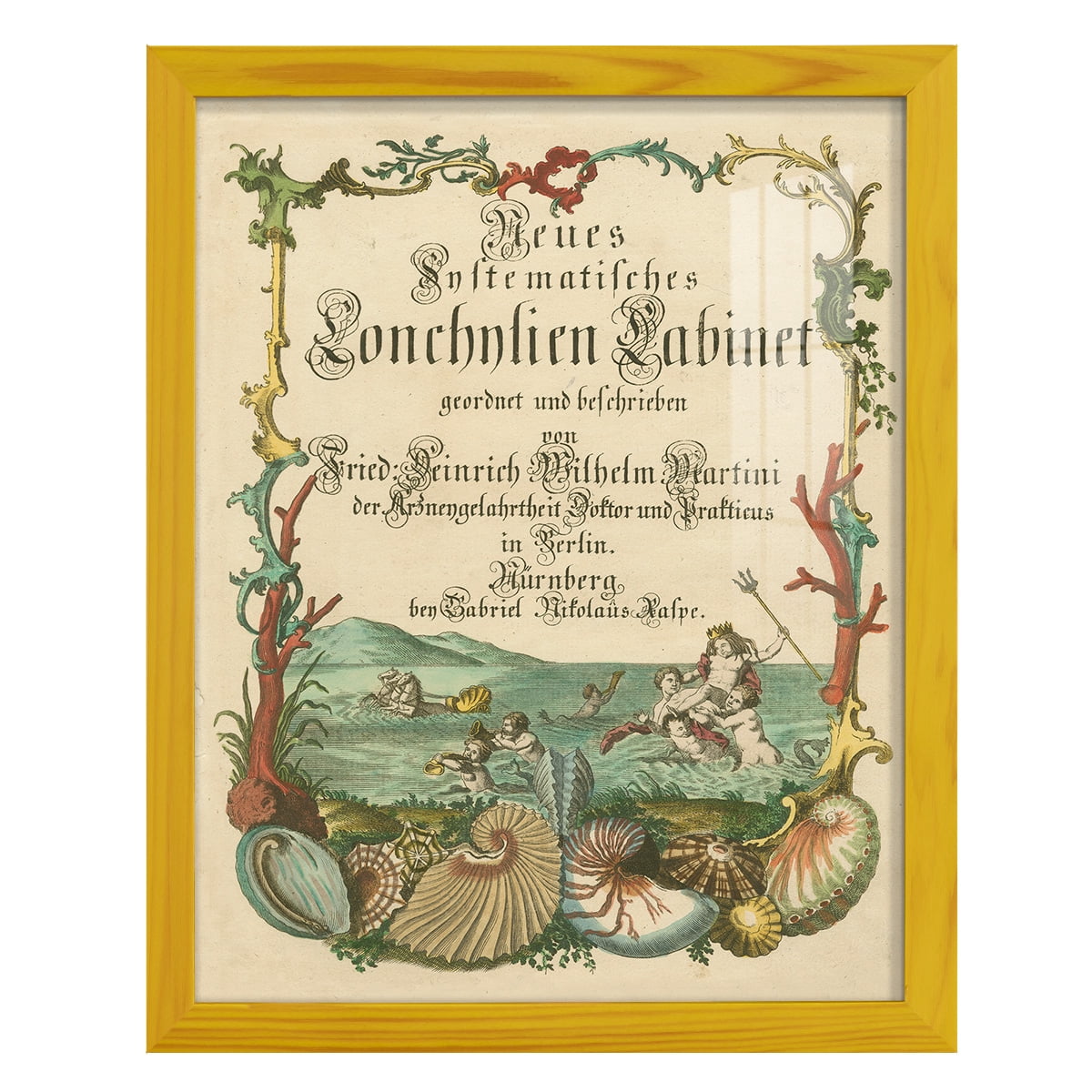 Cabinet of Conchology -Framed Print w/glass-Sunflower Yellow