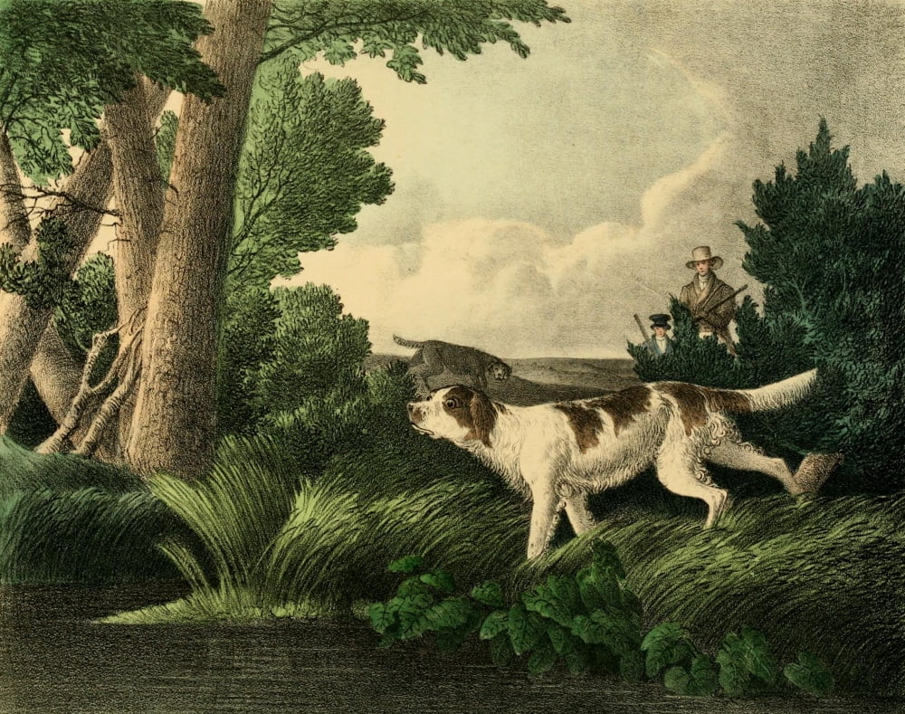 Cabinet of Natural History 1830 Woodcock Shooting Canvas Art - T Doughty (24 x 36)