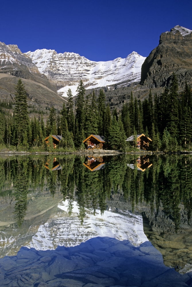 Cabins Sargents Point Lake Ohara Yoho National Park British Columbia Canvas Art - John Sylvester  Design Pics (22 x 34)
