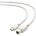 thumbnail image 1 of Cable Matters USB C Printer Cable (USB C to USB B Cable, USB-C to Printer) in White 6.6 Feet, 1 of 6