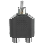 Cable Wholesale 30R1-03300 RCA Splitter & Adapter, RCA Male to Dual RCA Female