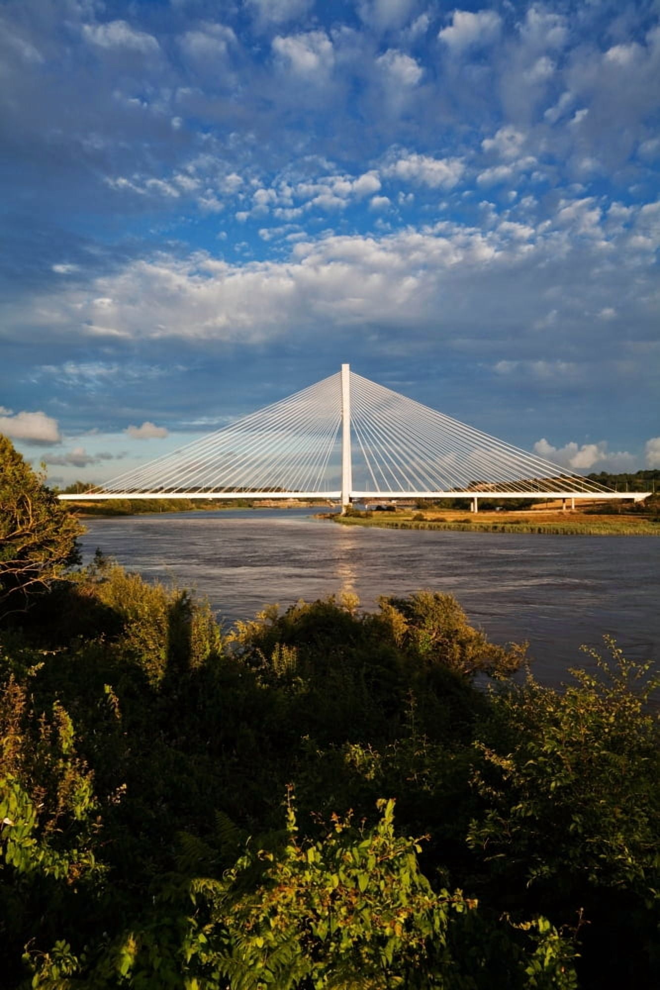 Cable-stayed bridge over the River Suir Waterford Bypass County Waterford Ireland Canvas Art - Panoramic Images (27 x 9)