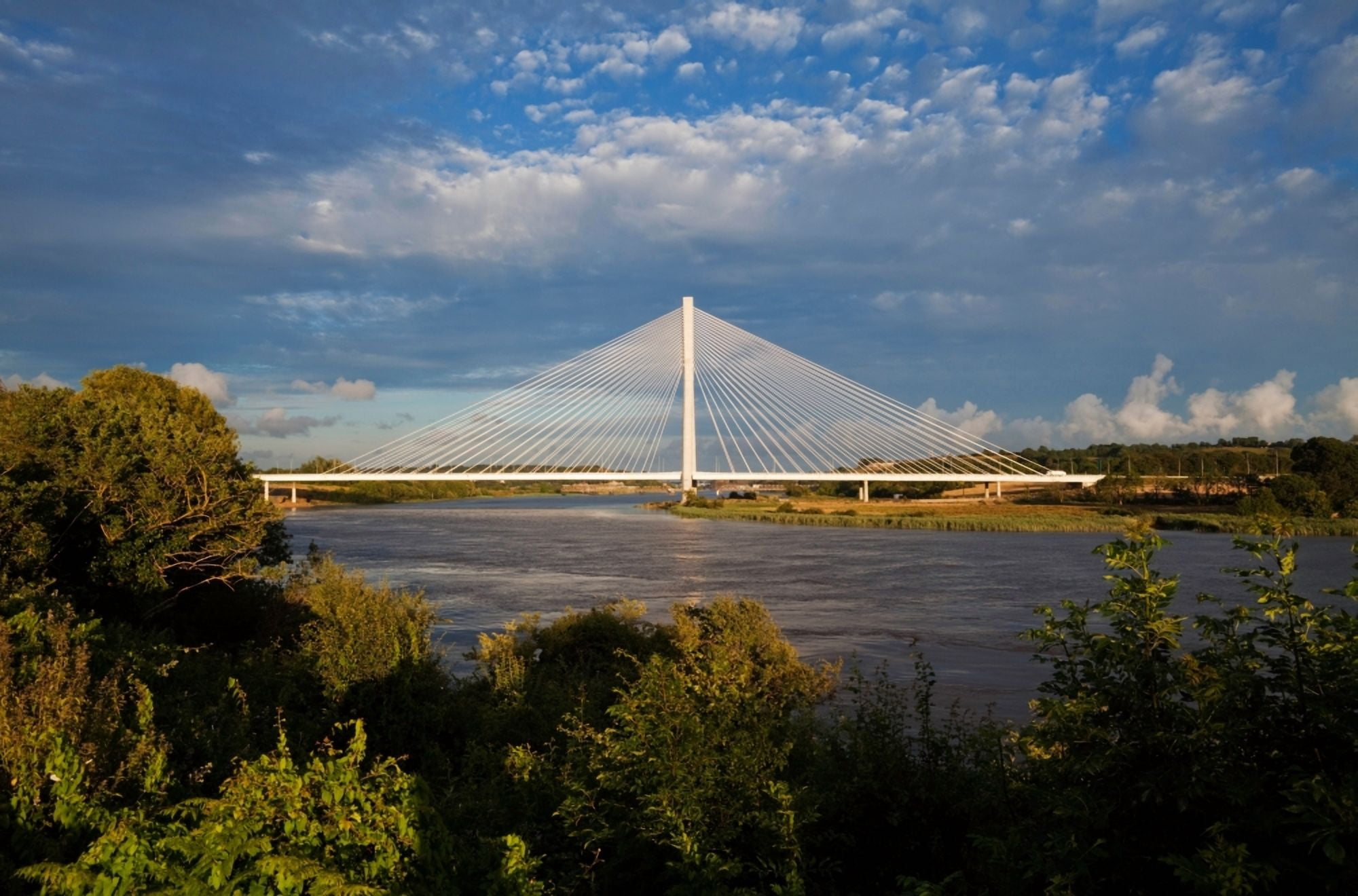 Cable-stayed bridge over the River Suir Waterford Bypass County Waterford Ireland Canvas Art - Panoramic Images (27 x 9)