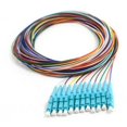 thumbnail image 1 of CableWholesale 15F1-42012 3 m 12 Strand Fiber Pigtail - 0.4 Multmode - OM3 LC & PC Connectors, 1 of 1