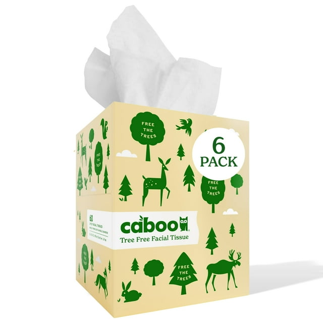 Caboo Tree Free Facial Tissue Paper, Tissue Box with 60 Sheets Per Cube