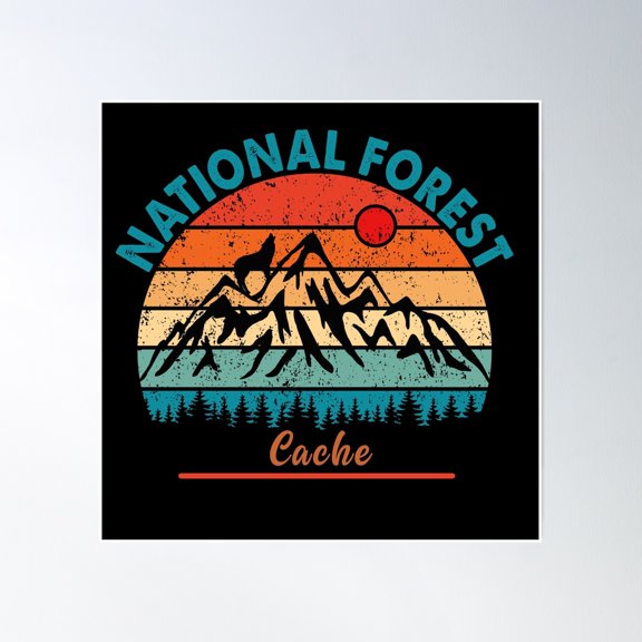 Cache National Forest Poster Wall Art, Modern Wall Decor, 16x16 UNFRAMED