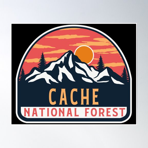 Cache National Forest Poster Wall Art, Modern Wall Decor, 16x24 UNFRAMED