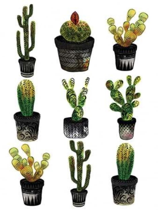 Cacti Canvas Art - Sofie Rolfsdotter (18 x 24)