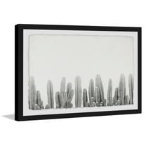 Cacti Splendor II Framed Painting Print
