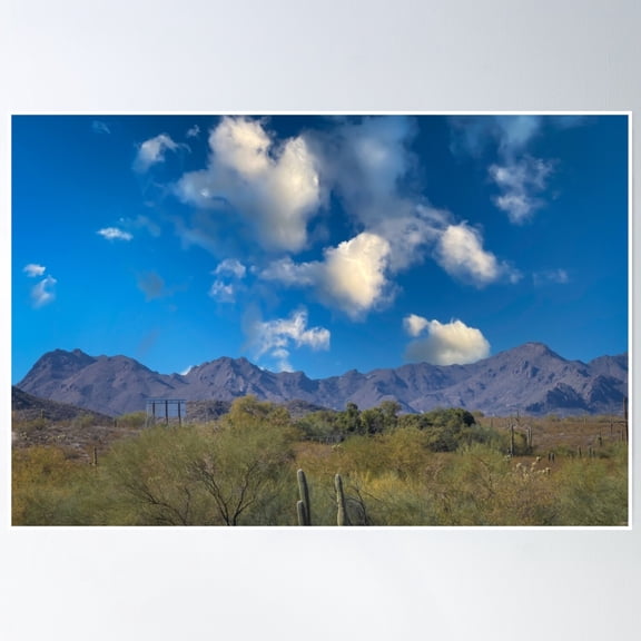 Cacti Stand Tall Against The Backdrop Tucson Az Of A Rugged Mountain Range Under A Bright Blue Sky With Scattered Clouds Poster Wall Art, Modern Wall Decor, 24x36 UNFRAMED