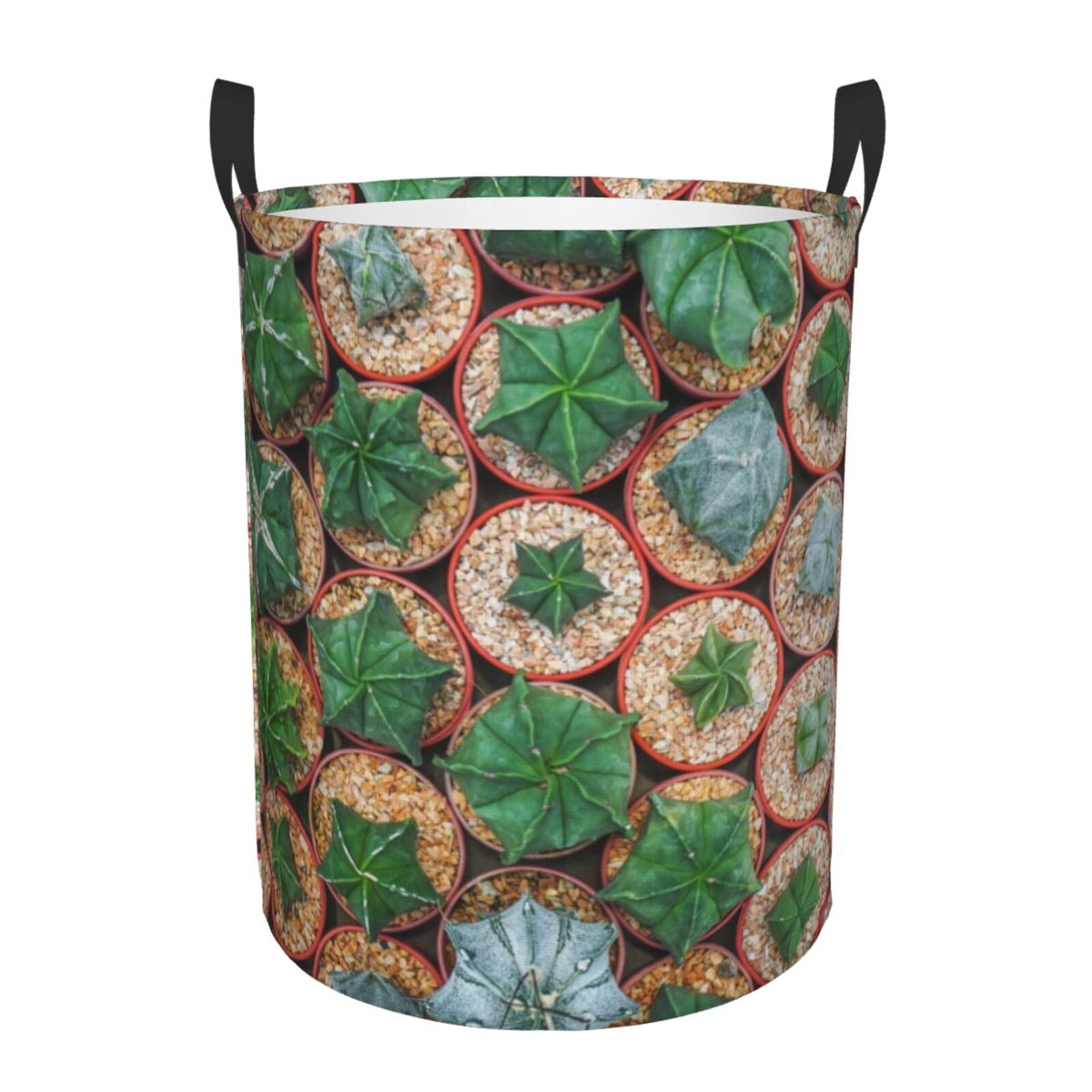 Cactus Western Sun Quilted Laundry Basket NCU0HNH737