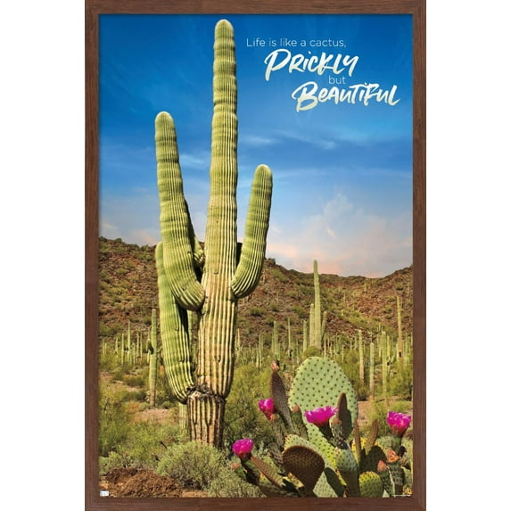 Cactus - Beautiful Wall Poster, 22.375" x 34" Framed